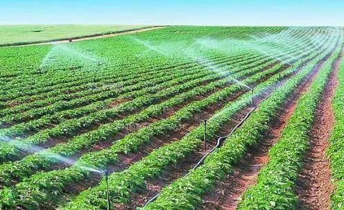 男生插女生机机软建农田高 效节水灌溉